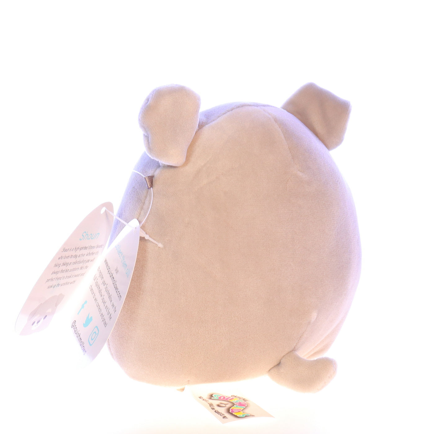 Squishmallows_Q044_Shaun_Plush_Dog_Stuffed_Animal_2020 Back Left View