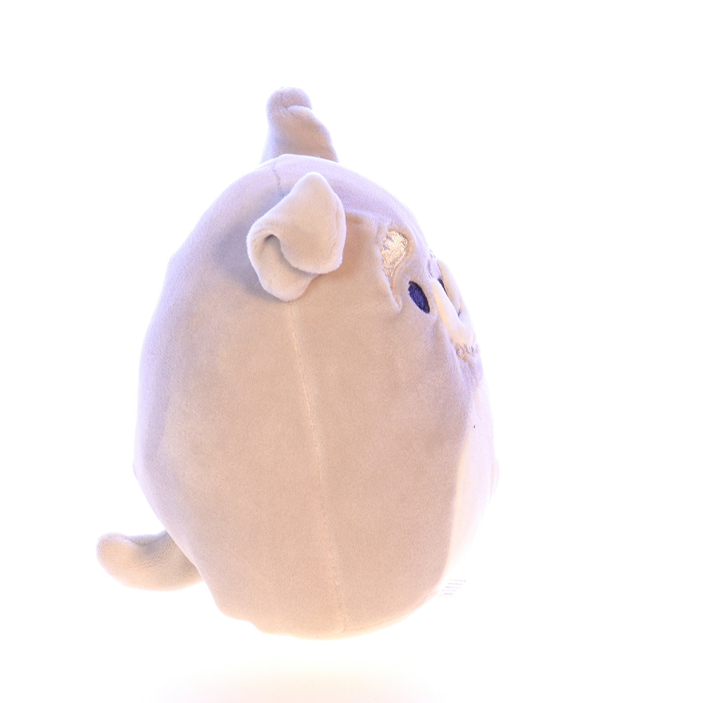 Squishmallows_Q044_Shaun_Plush_Dog_Stuffed_Animal_2020 Right View