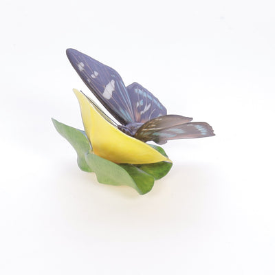 Butterflies_of_the_World_Mangrove_Skipper_and_Water_Poppy_Butterflies_of_the_World_Figurine_1985