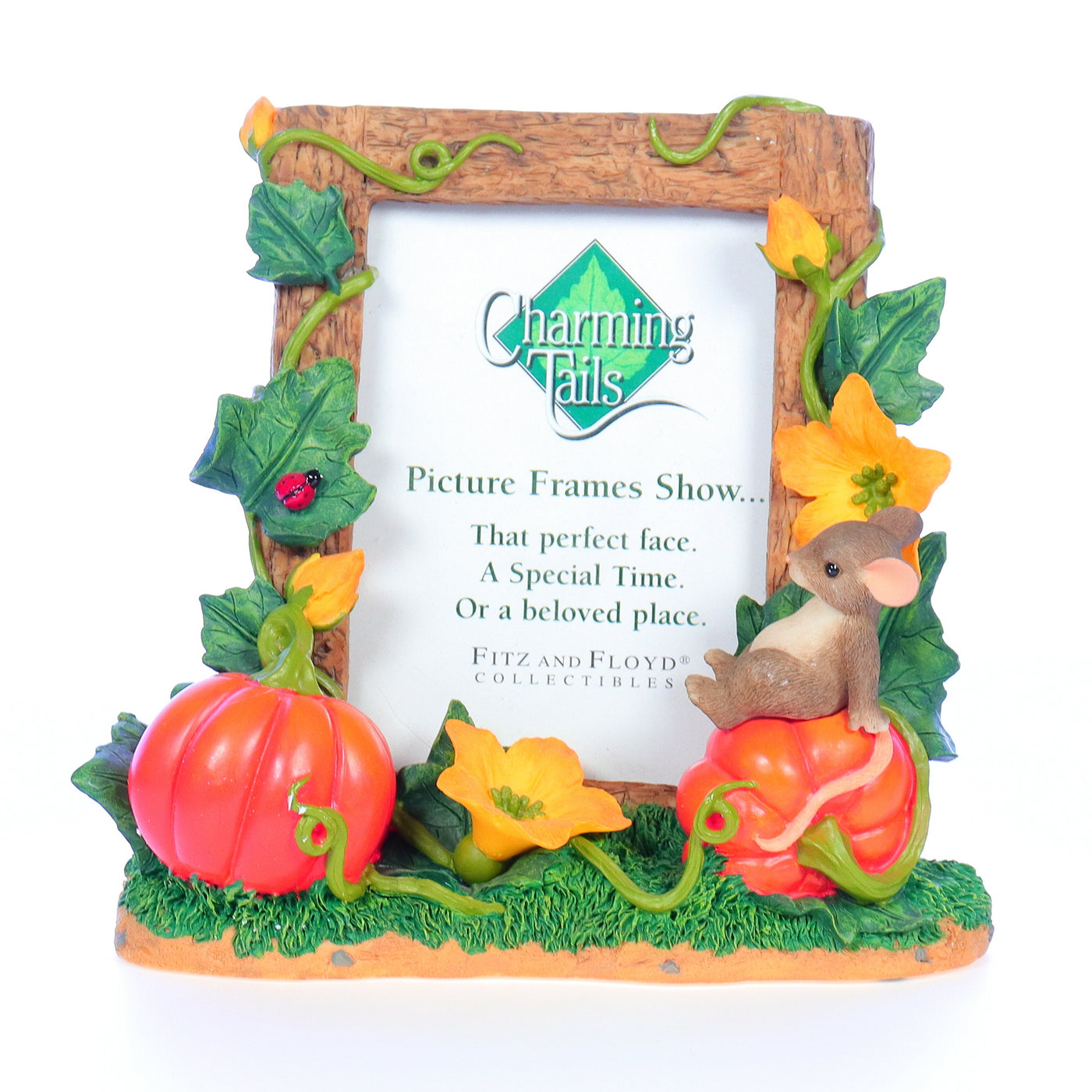 charming tails 93108 pumpkin harvest fall picture frame box front